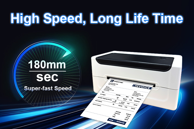 K38 Catalog 2025-5(2)